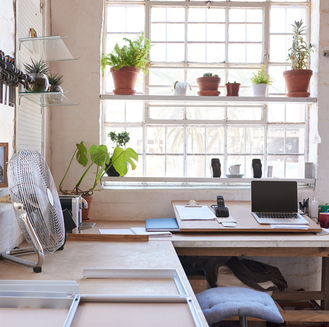 Bright sunny framing shop office with windows and plants