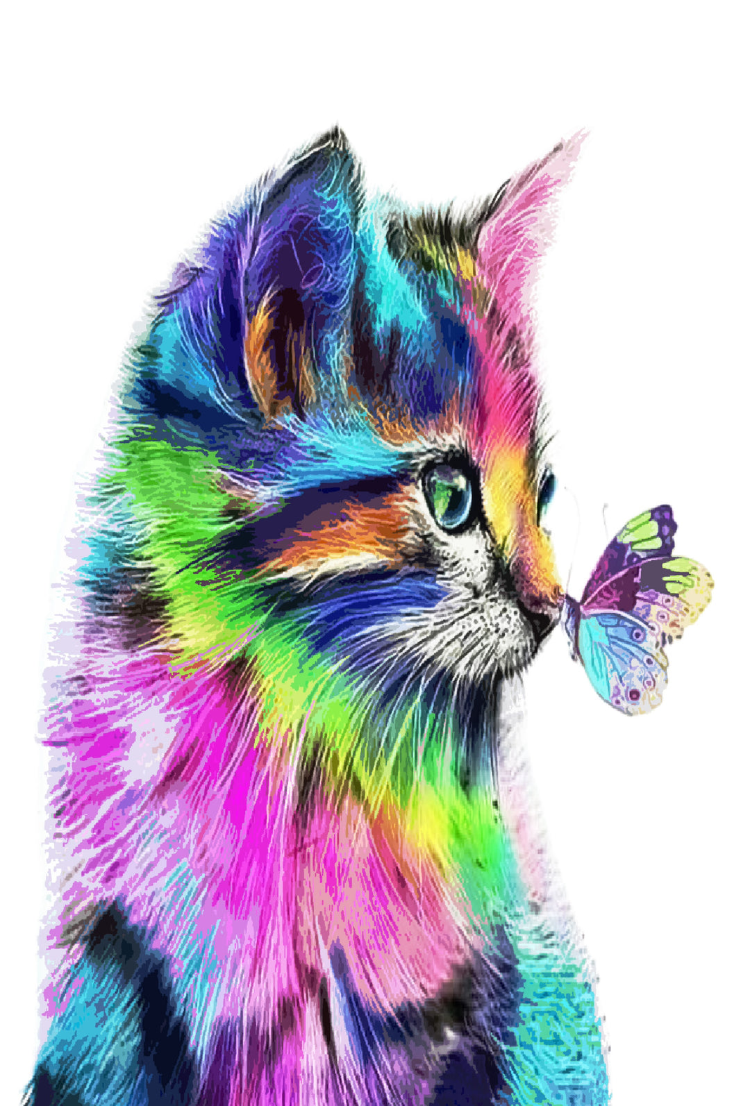 Multicolor