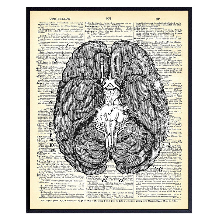 Upcycled Dictionary Wall Art Print - 8x10 Vintage Unframed Photo - Cool Home Decor and Easy Gift Giving for Doctors and Nurses - Anatomy Brain