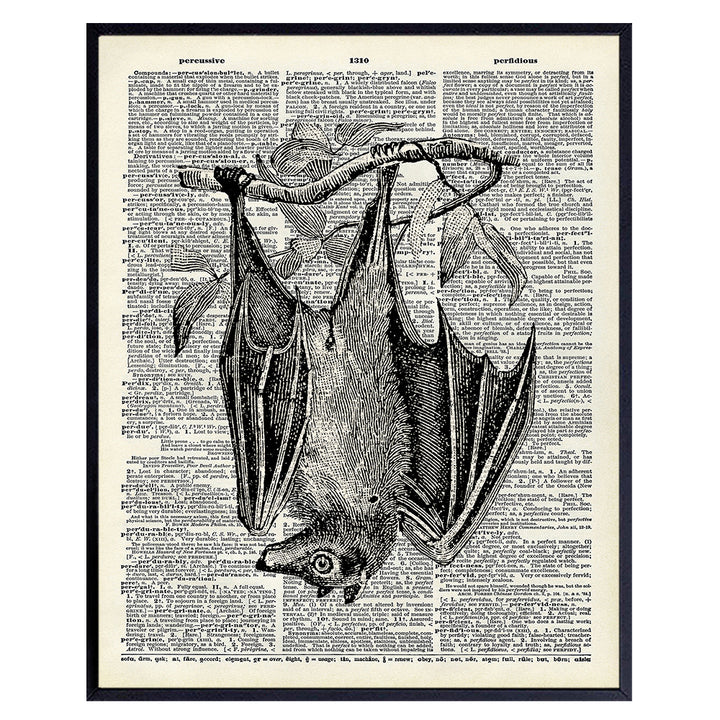 Gothic Bat Dictionary Wall Art Decor Picture - 8x10 Upcycled Poster for Apartment, Living Room, Home Office, Bedroom - Gift for Steampunk or Goth Fans - Vintage Retro Photo Print