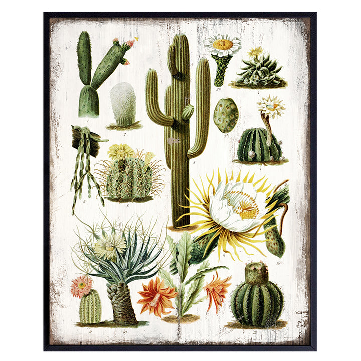 Cactus Wall Art - Desert Decor - Vintage Rustic Sonoran Wall Art for Bedroom, Living Room, Office, Bathroom - Unique Gift, Decorations - Haeckel Botanical Saguaro Cactus Blossom - 8x10