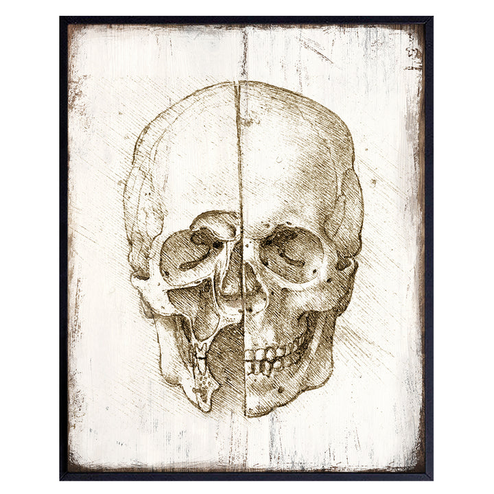 Leonardo Da Vinci Skull Poster -8x10 Anatomical Wall Art Print - Rustic Wall Decor for Medical Clinic, Doctor Office - Renaissance Painting - Gift for Medieval Painting Fans, Nurse, Med Student