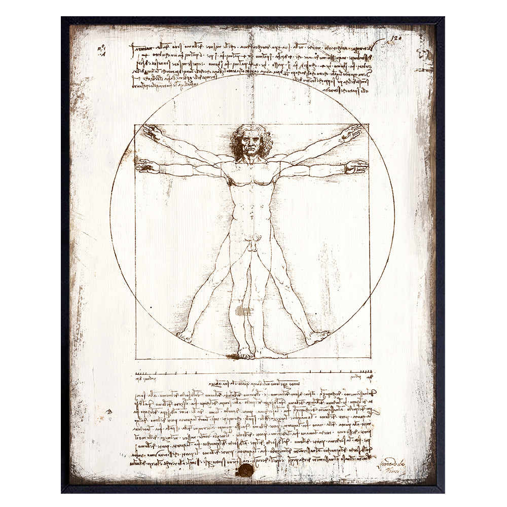 Leonardo Da Vinci Vitruvian Man Poster - 8x10 Farmhouse Wall Art