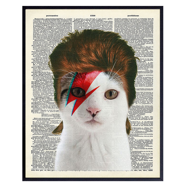 Poster of David Bowie Cat Wall Art - 8x10 Funny Upcycled Dictionary Cat Wall Decor for Vet, Veterinarian Office, Home, Bedroom - Unique Gift for 70s, 80s Punk Rock Music, Ziggy Stardust Fans