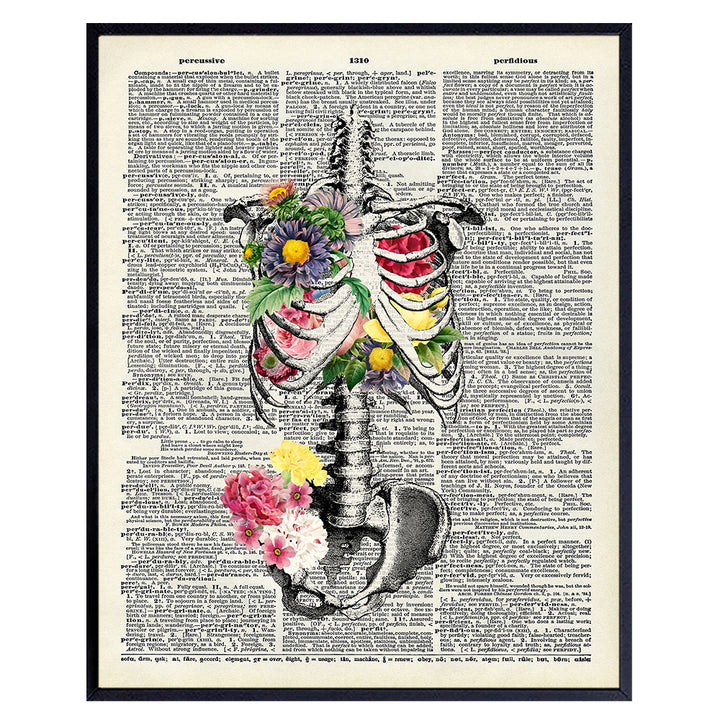 Anatomical Skeleton Dictionary Wall Art - 8x10 Anatomy Wall Decor for Doctor Office, Medical Clinic, Hospital - Gift for Nurse, Physician, PA, Dr, Neck or Back Pain Surgery or Hip Replacement Patient