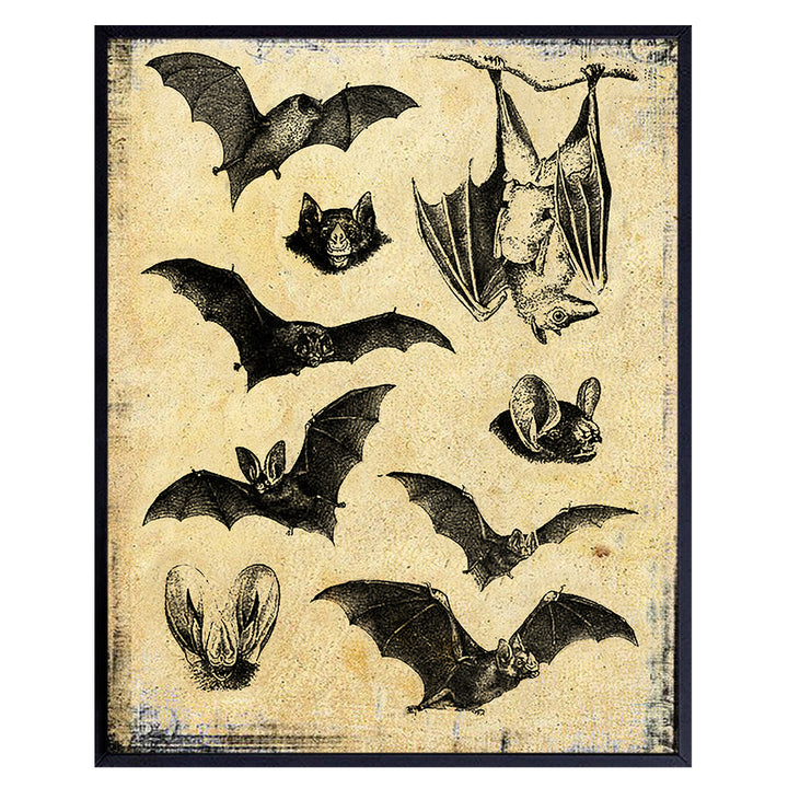 Bats Wall Decor Picture - Gothic Medieval Antique Hipster Style Art Decoration for Home, Apartment, Office, Living Room, Bedroom - Vintage Rustic Creepy Gift for Steampunk, Goth Fans - Haeckel Print