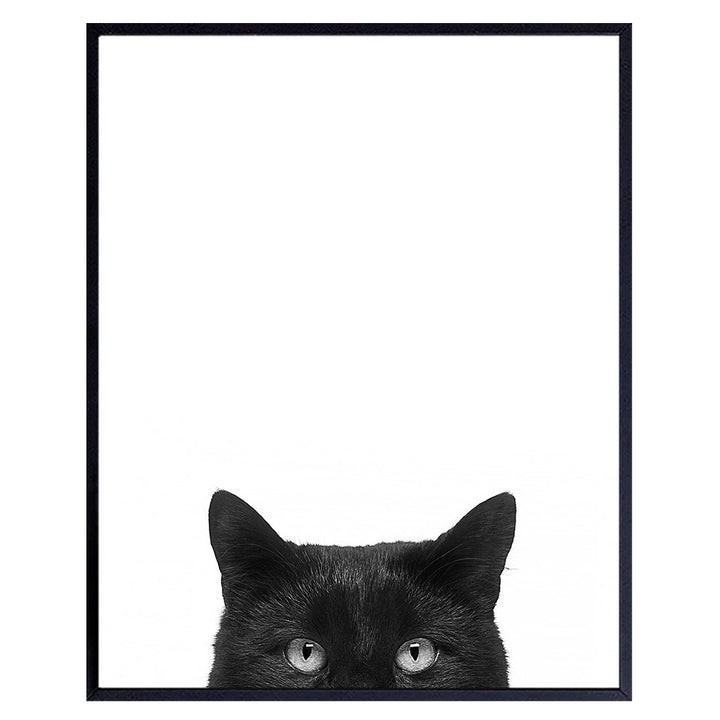 Black Cat Wall Art Photo - Unique 8x10 Modern Contemporary 8x10 Home Decor Print- Gift For Animal, Pets, Kitten, Kitty, Feline Lovers - Unframed