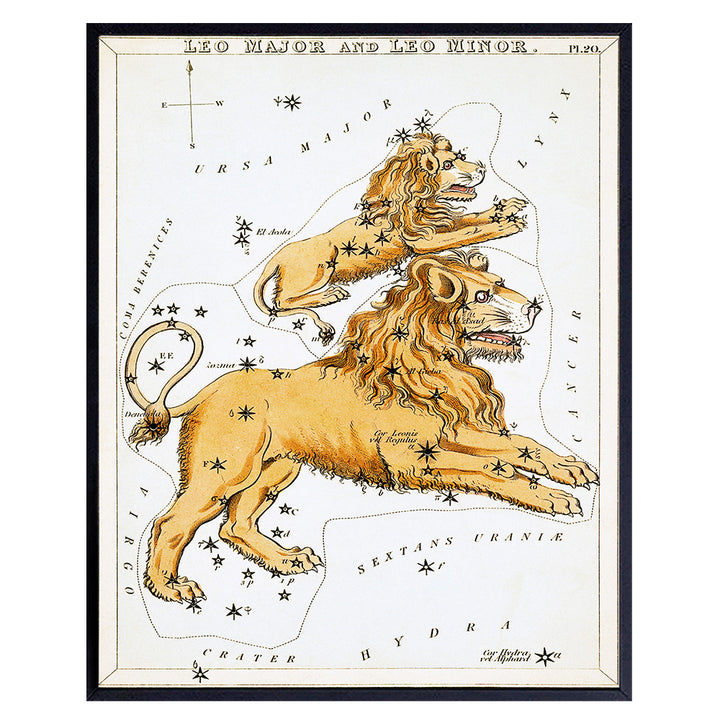 Vintage Leo Astrological Zodiac Chart - Ready to Frame (8x10) Photo - Great Gift and Chic Home Decor