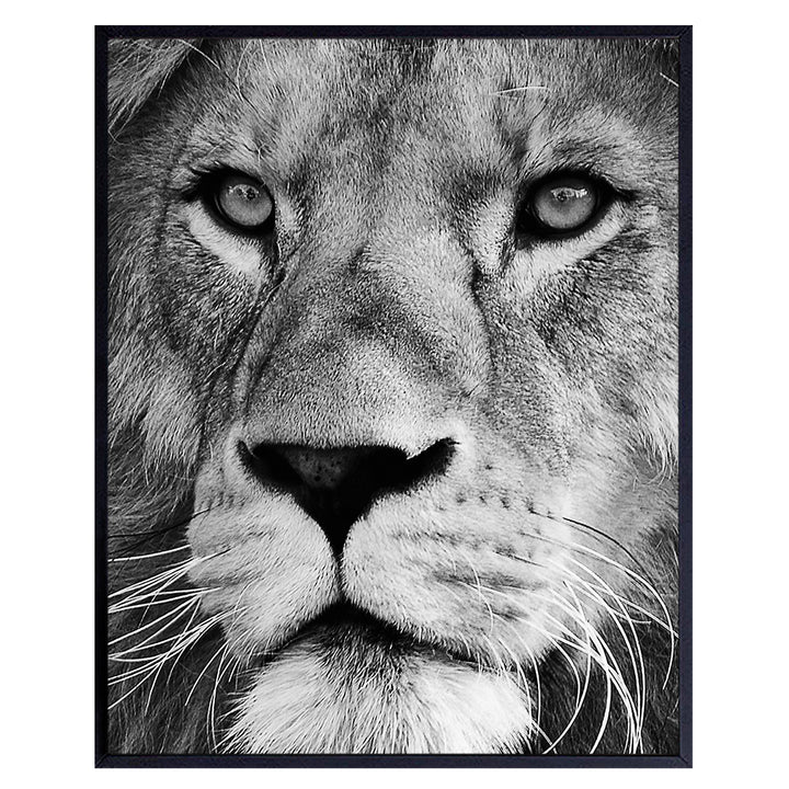 Lion Wall Art Decor - Big Cat Lion Head Picture Photo for Living Room, Bedroom, Home, Office, Kitchen, Dining Room, Apartment - Unique Gift for Jungle Animals Fans - 8x10 Poster Print - UNFRAMED