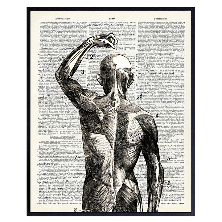 Human Anatomy Muscles Wall Art - Hospital, Medical, Doctor Office Decor - Gift for Acupuncture, Massage Therapy or Chiropractic Dr, Nurse Practitioner, Physical Therapist, Med Student - Gothic Decor