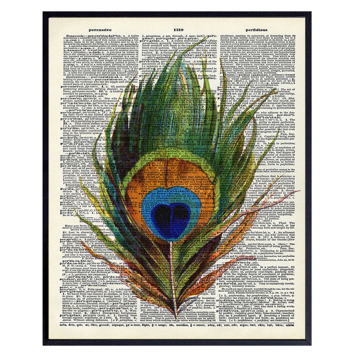 Upcycled Dictionary Wall Art Print - Vintage 8x10 Unframed Photo - Makes a Great Gift - Chic Home Decor - Peacock Feather