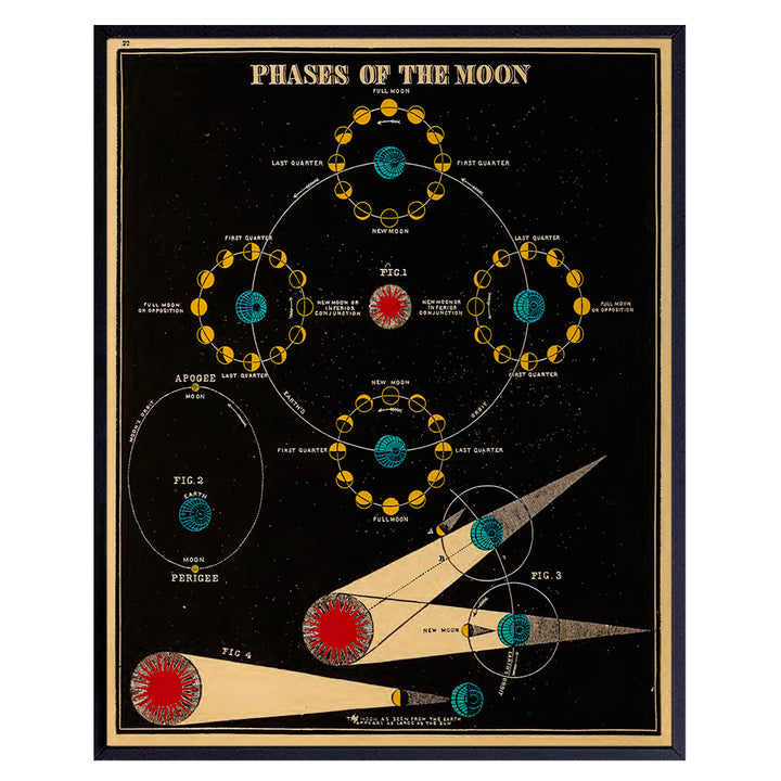 Astronomy Moon Phases Wall Art Print - 8x10 Vintage Lunar Home Decor, Astrological Room Decoration Poster - Cool Unique Gift for Planetary Astrology Fans - Unframed Photo Picture