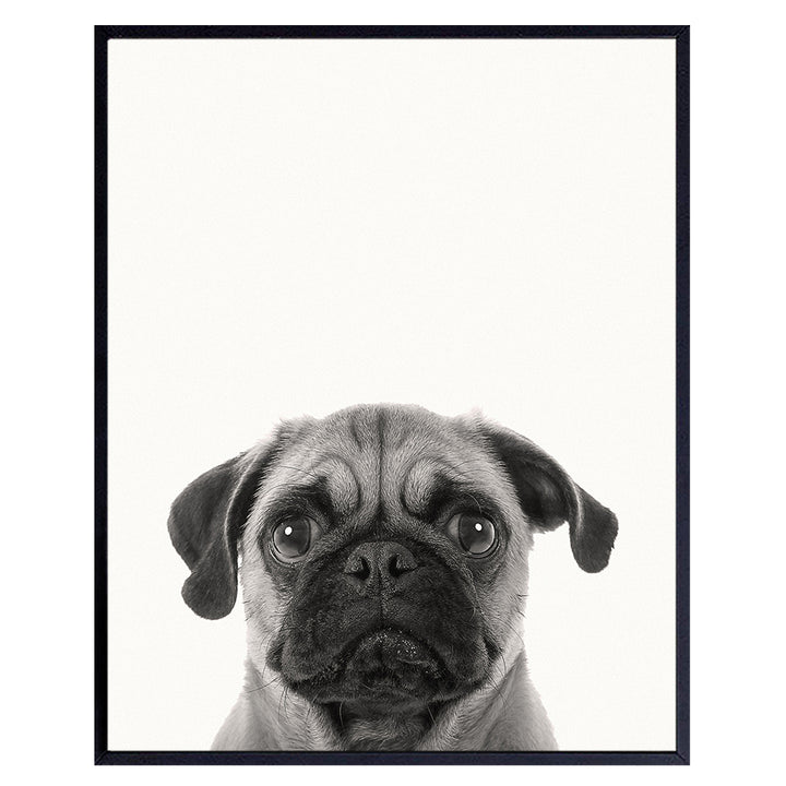 Pug Face Contemporary Wall Art Decor, 8x10 Photo Print - Funny Modern Art for Bedroom, Living Room, Home, Apartment - Gift for Dog, Puppy, Pet, Canine Lovers - Unframed Poster Picture