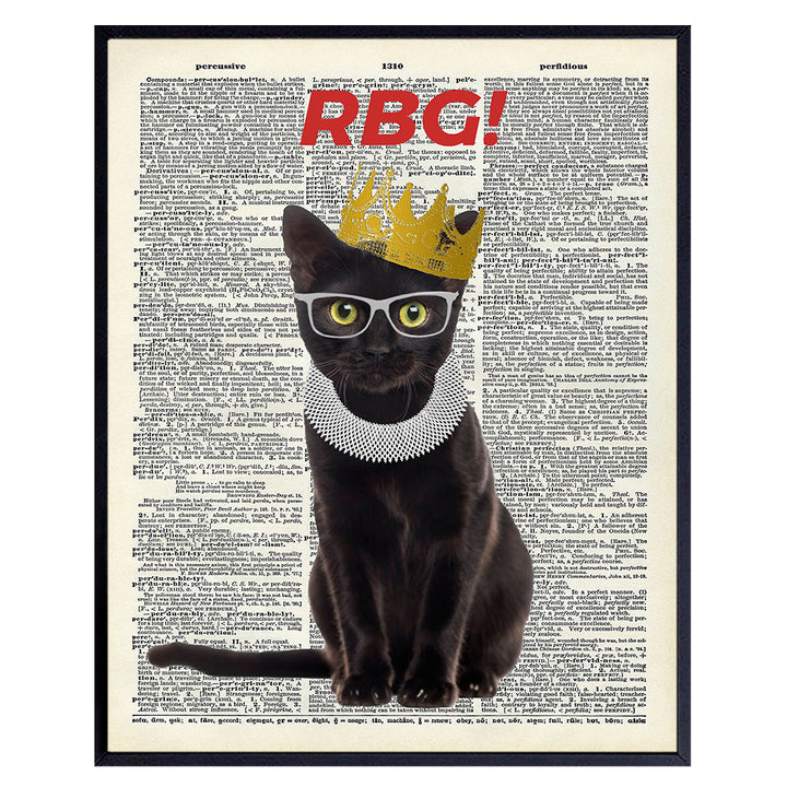 Ruth Bader Ginsburg Cat Wall Art Print - Funny RBG Cat Wall Decor - Upcycled Dictionary Art Picture - Vintage Photo - Great Unique Home Decor or Gift For Lawyers, Attorneys