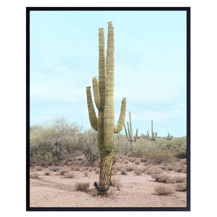 Saguaro Cactus, Desert Wall Art Decor - 8x10 Travel Poster for Bedroom, Living Room, Office, Bathroom - Gift for California, Arizona, Utah, New Mexico Nature Fan - UNFRAMED Picture Photo Photograph