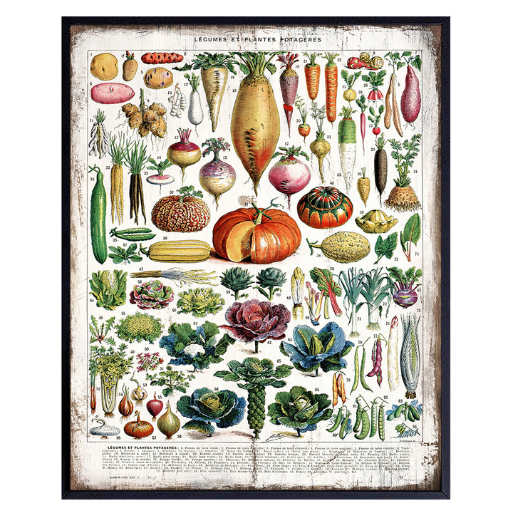 Kitchen, Dining Room Decor - Rustic Vintage Botanical Vegetables, Legumes - Larousse Gastronomique Sign Photo Wall Art for Cafe, Restaurant - Unique Housewarming Gift -8x10 Boho Farmhouse Style