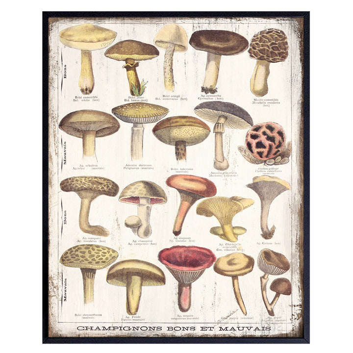 Vintage Rustic Mushroom Poster - 8x10 Larousse Gastronomique Mushroom Wall Decor for Cafe, Restaurant - Kitchen Wall Art - Unique Chef Gifts - Boho Country Farmhouse Decor