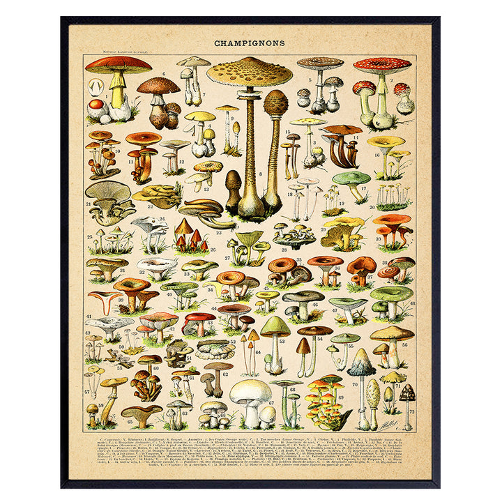 Mushroom Decor, 11x14 - Botanical Larousse Gastronomique Print - Rustic Vintage Dining Room, Kitchen Decor - Boho Country Farmhouse Wall Art for Cafe - Restaurant Wall Art Poster - Housewarming Gift