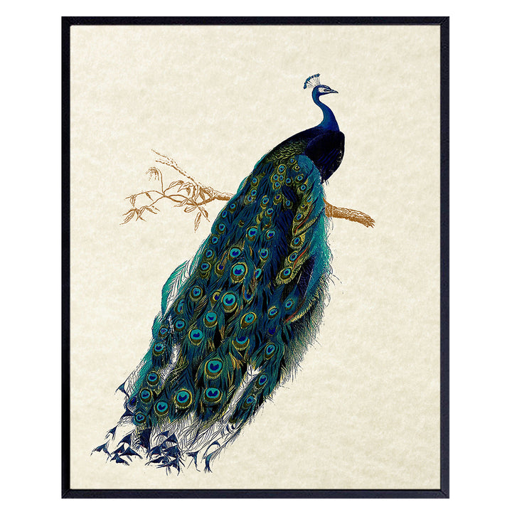 Peacock Wall Art Decor - Rustic Vintage Farmhouse Boho Decoration for Living Room, Bedroom, Bathroom, Home, Apartment - Gift for Women, Nature Fan - Famous Audubon Picture - 8x10 Poster Print