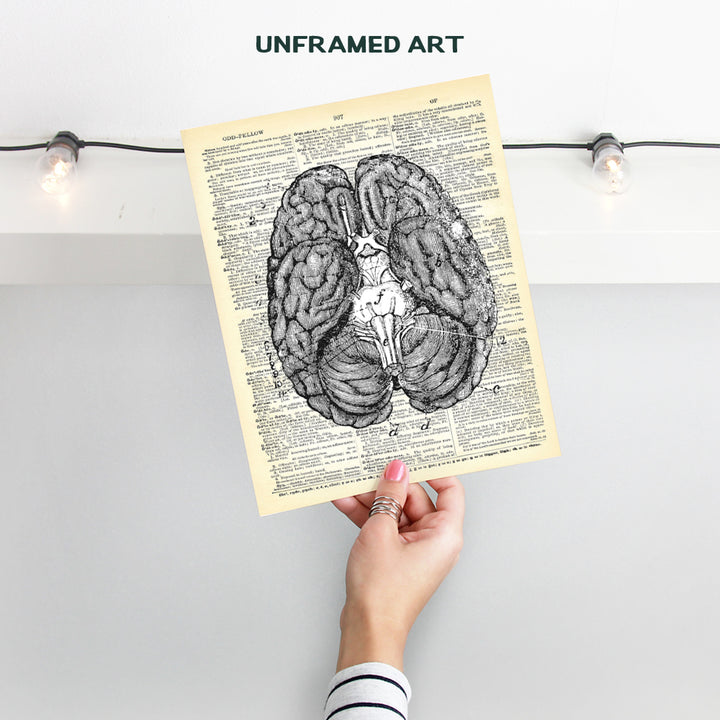 Upcycled Dictionary Wall Art Print - 8x10 Vintage Unframed Photo - Cool Home Decor and Easy Gift Giving for Doctors and Nurses - Anatomy Brain