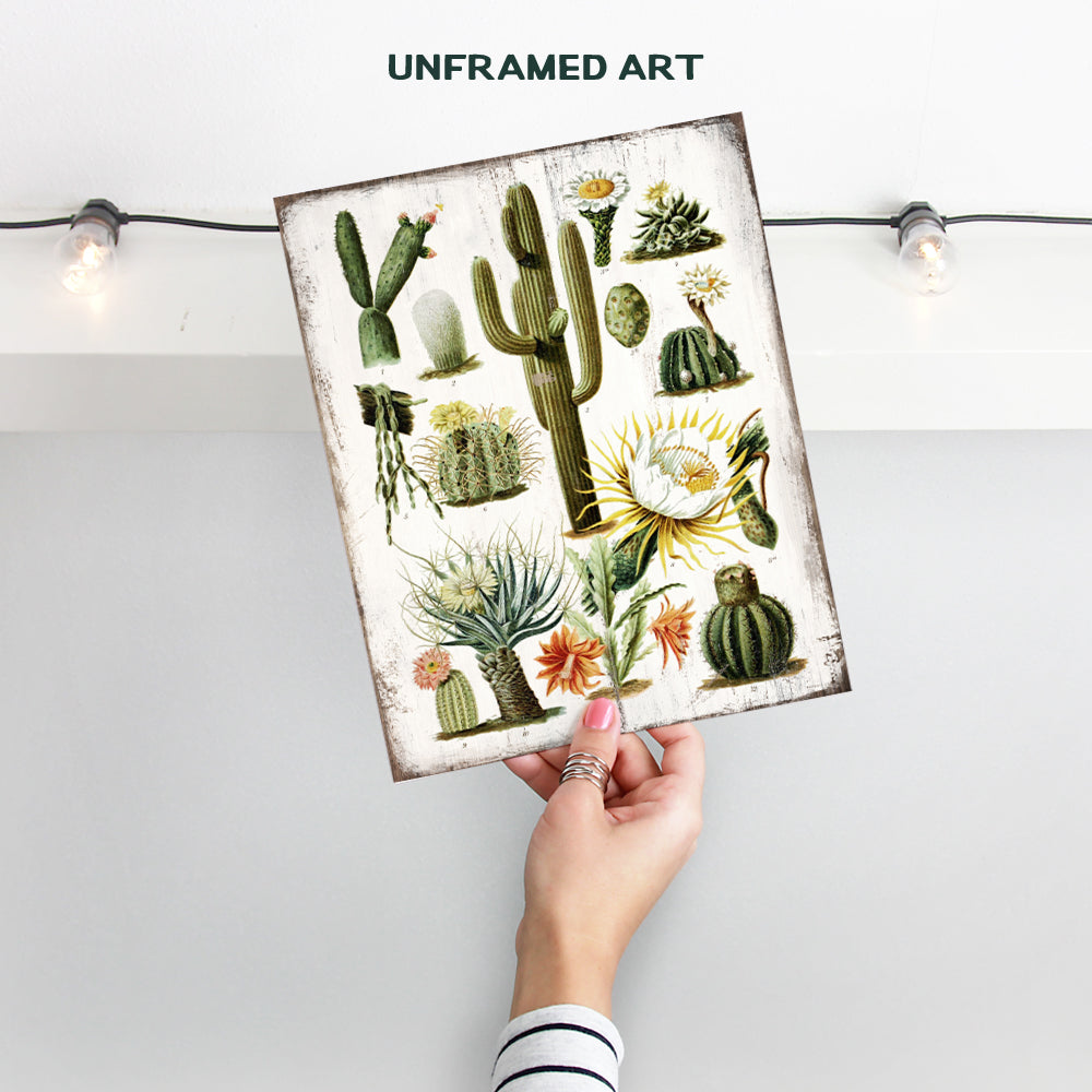 Cactus Wall Art - Desert Decor - Vintage Rustic Sonoran Wall Art for Bedroom, Living Room, Office, Bathroom - Unique Gift, Decorations - Haeckel Botanical Saguaro Cactus Blossom - 8x10