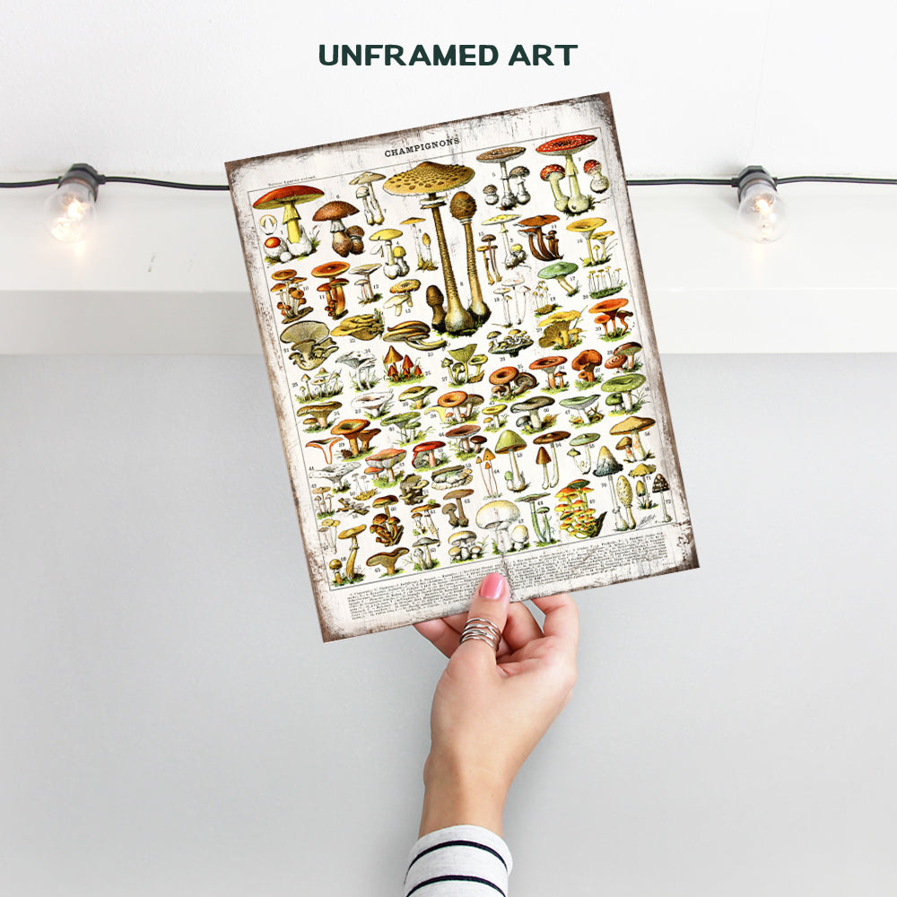 Dining Room, Kitchen Decor - Rustic Vintage Botanical Mushrooms Chart - Larousse Gastronomique Sign Photo Wall Art for Cafe, Restaurant - Unique Housewarming Gift -8x10 Boho Farmhouse Style