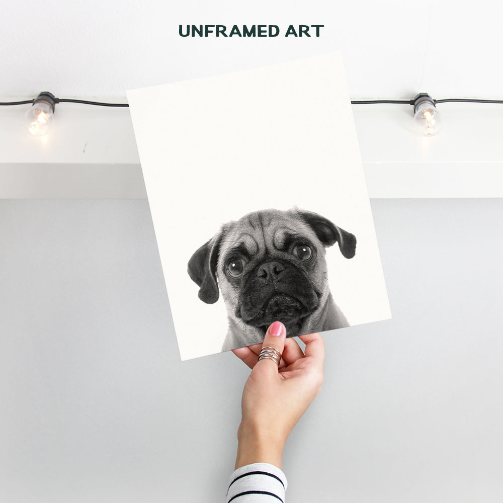 Pug Face Contemporary Wall Art Decor, 8x10 Photo Print - Funny Modern Art for Bedroom, Living Room, Home, Apartment - Gift for Dog, Puppy, Pet, Canine Lovers - Unframed Poster Picture