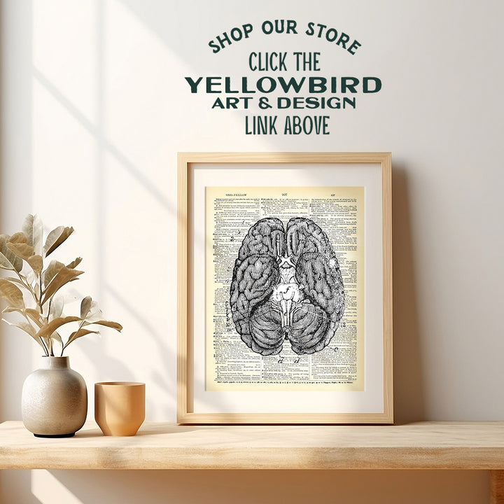 Upcycled Dictionary Wall Art Print - 8x10 Vintage Unframed Photo - Cool Home Decor and Easy Gift Giving for Doctors and Nurses - Anatomy Brain