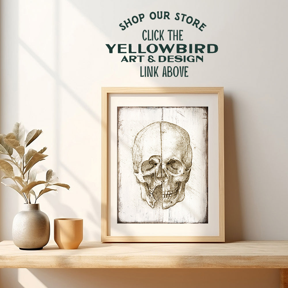 Leonardo Da Vinci Skull Poster -8x10 Anatomical Wall Art Print - Rustic Wall Decor for Medical Clinic, Doctor Office - Renaissance Painting - Gift for Medieval Painting Fans, Nurse, Med Student