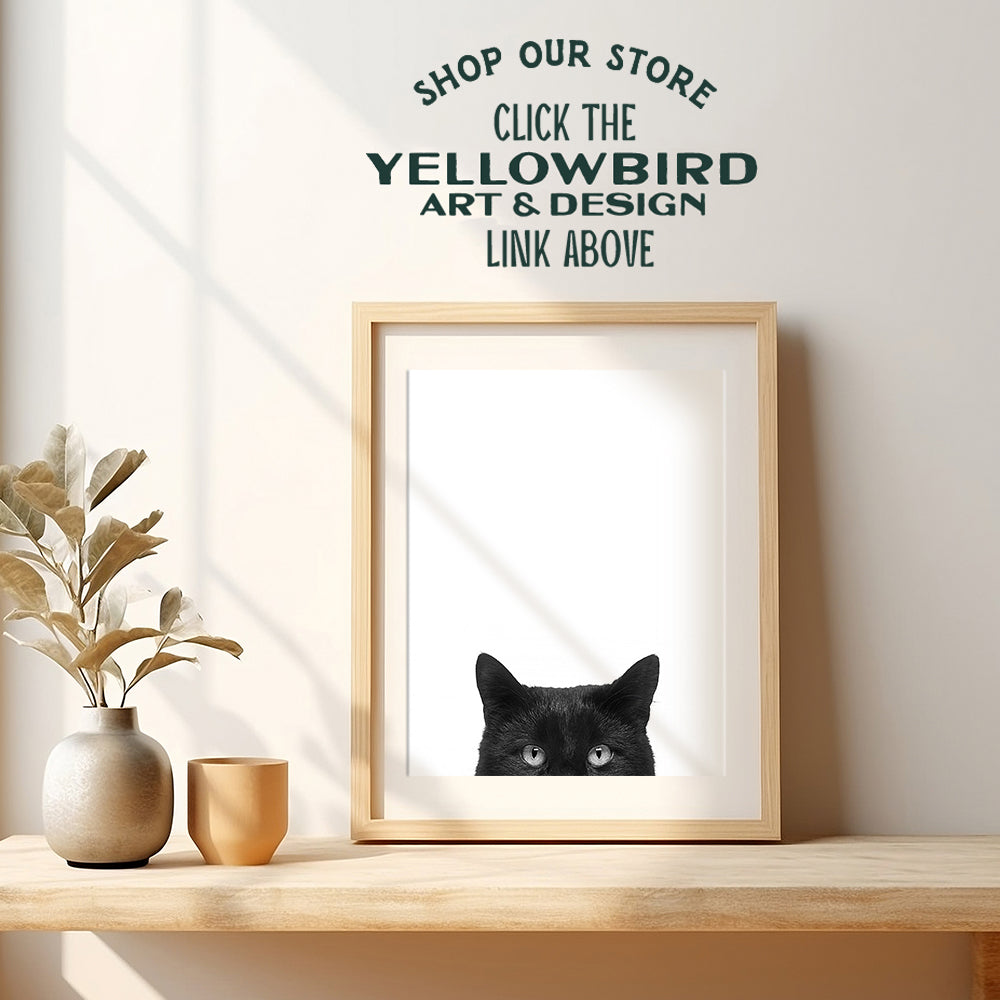 Black Cat Wall Art Photo - Unique 8x10 Modern Contemporary 8x10 Home Decor Print- Gift For Animal, Pets, Kitten, Kitty, Feline Lovers - Unframed