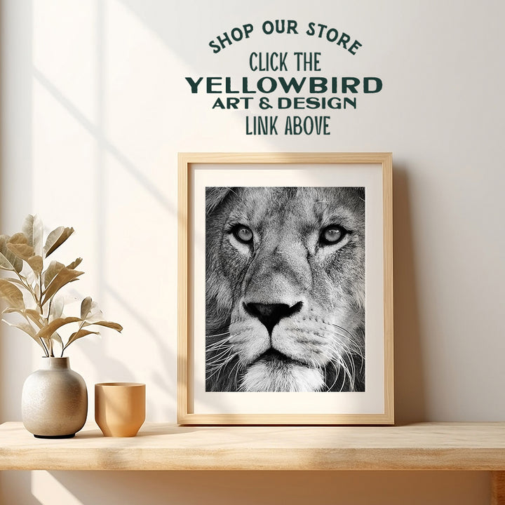 Lion Wall Art Decor - Big Cat Lion Head Picture Photo for Living Room, Bedroom, Home, Office, Kitchen, Dining Room, Apartment - Unique Gift for Jungle Animals Fans - 8x10 Poster Print - UNFRAMED