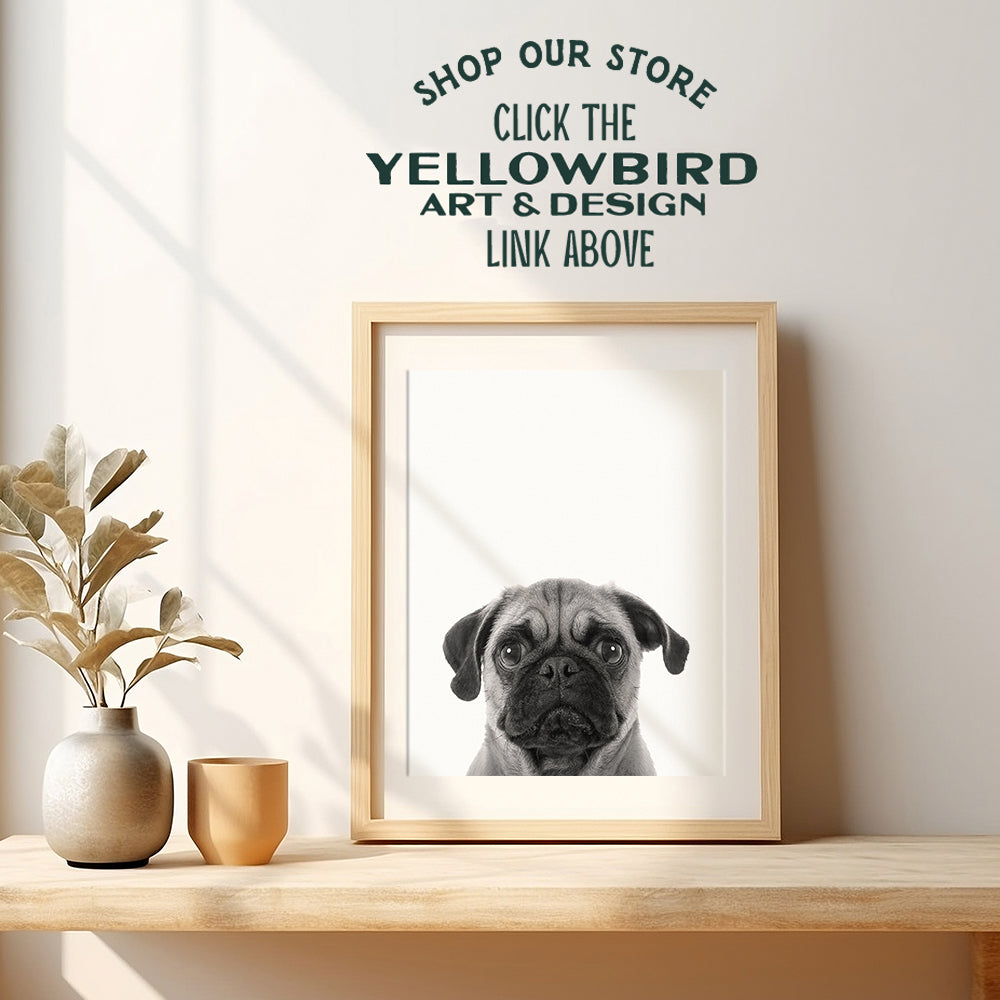 Pug Face Contemporary Wall Art Decor, 8x10 Photo Print - Funny Modern Art for Bedroom, Living Room, Home, Apartment - Gift for Dog, Puppy, Pet, Canine Lovers - Unframed Poster Picture