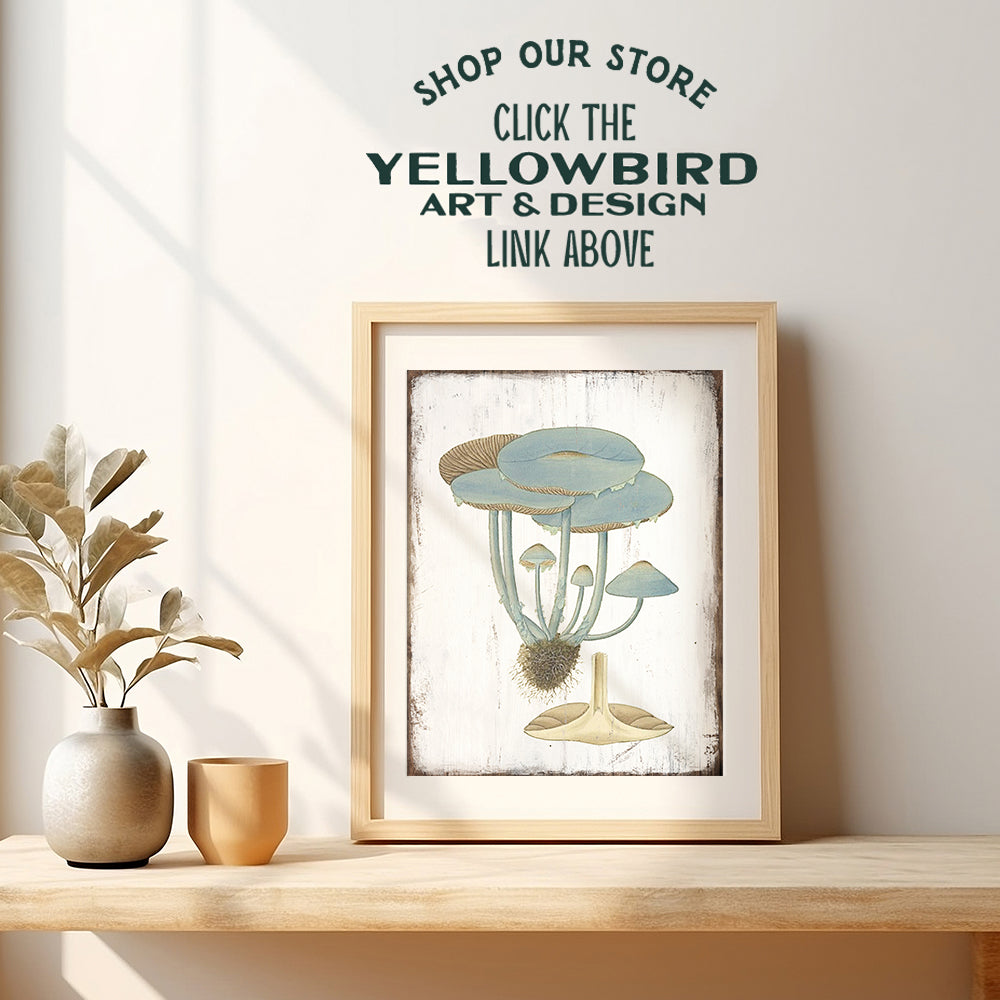 Psychedelic Magic Mushrooms - Hallucinogenic Medicinal Mushrooms - Botanical Prints Art - Psilocybin Spores Trippy Wall Decor - Boho Gifts - Vintage Rustic Kitchen Wall Decor - Hippie Room Decor