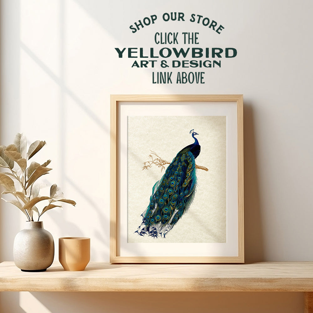 Peacock Wall Art Decor - Rustic Vintage Farmhouse Boho Decoration for Living Room, Bedroom, Bathroom, Home, Apartment - Gift for Women, Nature Fan - Famous Audubon Picture - 8x10 Poster Print