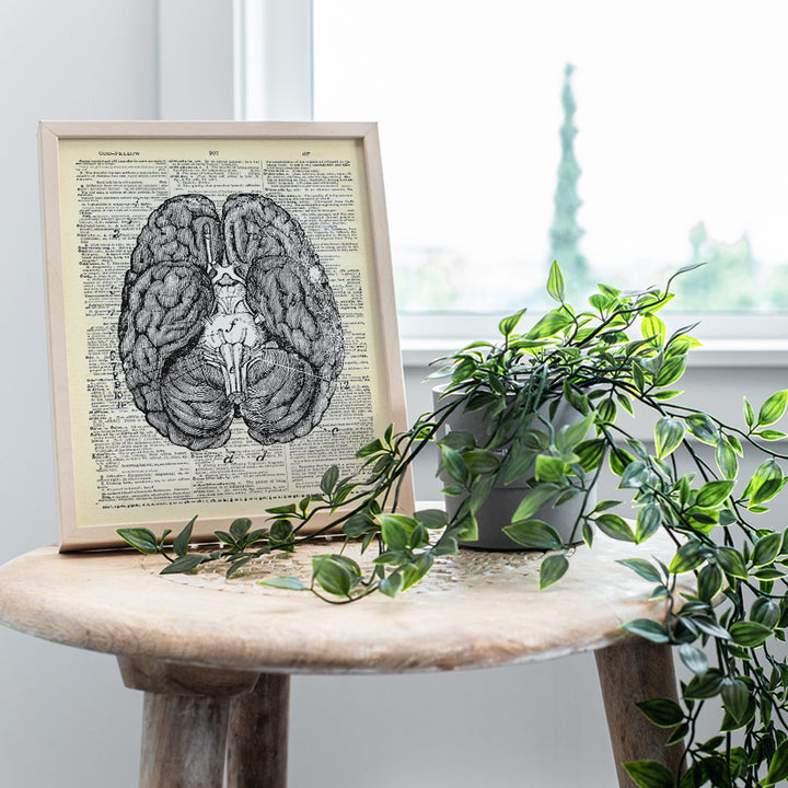 Upcycled Dictionary Wall Art Print - 8x10 Vintage Unframed Photo - Cool Home Decor and Easy Gift Giving for Doctors and Nurses - Anatomy Brain