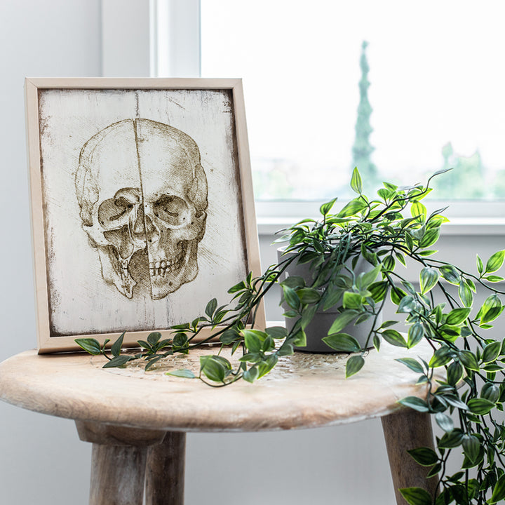 Leonardo Da Vinci Skull Poster -8x10 Anatomical Wall Art Print - Rustic Wall Decor for Medical Clinic, Doctor Office - Renaissance Painting - Gift for Medieval Painting Fans, Nurse, Med Student