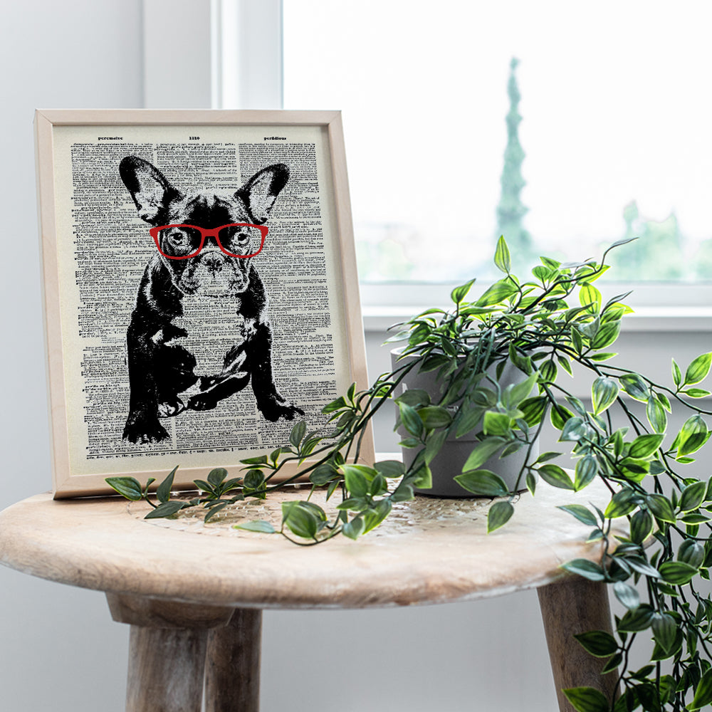 French Bulldog in Red Glasses - Dictionary Wall Art Print - 8X10 Photo Print - Cool Home Decor or Gift for Animal or Dog Lover, Veterinarian, Vet Office - Unframed Poster Picture