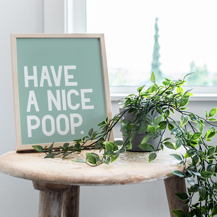 Funny Bathroom Wall Art Print - Makes a Great Affordable Gift and Humorous Home Decor - 8x10 Typography Photo - Unframed - Have a Nice Poop