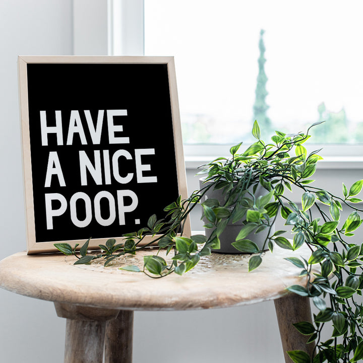 Humorous Bathroom Art Print - Funny Typography Home Decor and Room Decoration for Bath - Unframed - 8x10 - Have a Nice Poop