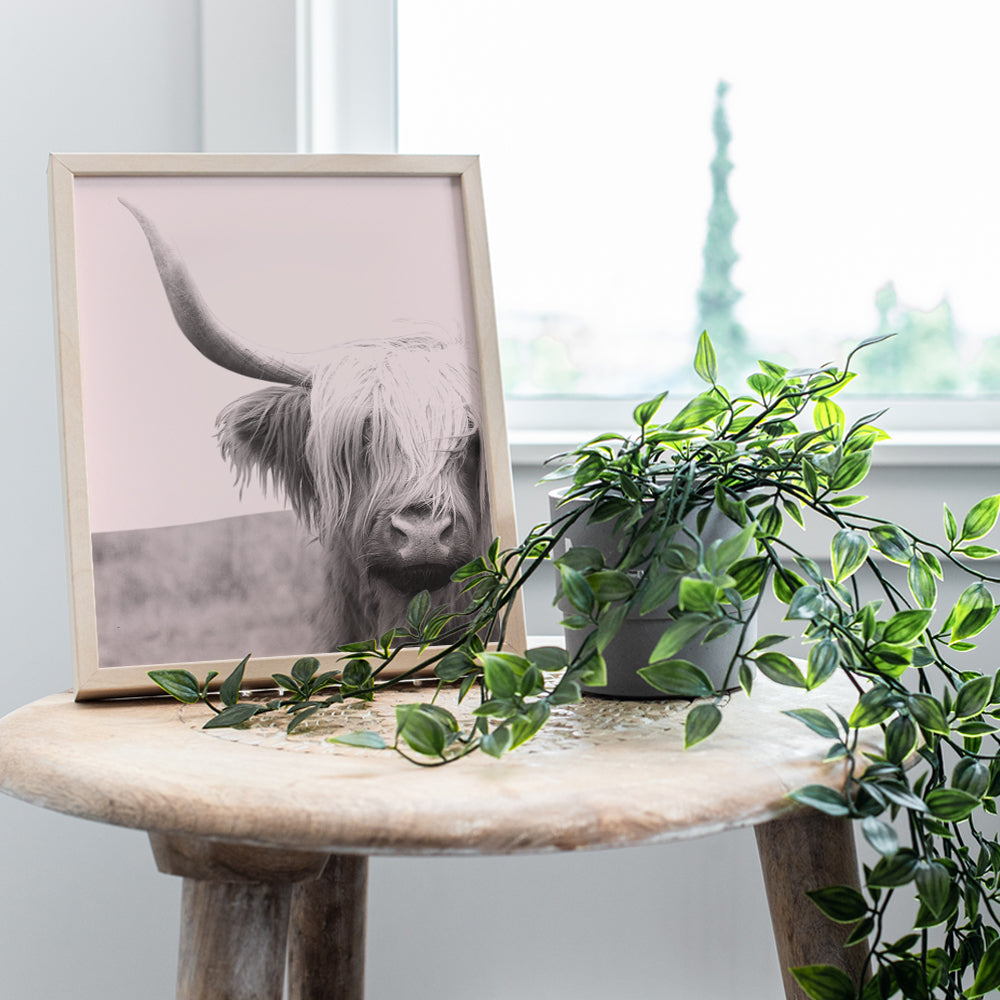 Highland Cow Decorations - Boho Farmhouse Cow Gift for Women - Cow Wall Decor for Bedroom, Living Room, Home, Kitchen, Bathroom, Apartment, Office - Cute Scottish Cow Wall Art - Pink Photo Picture