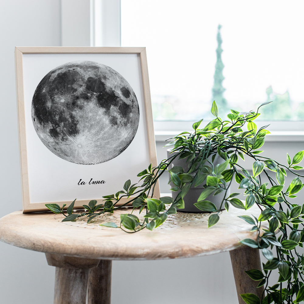 La Luna - Full Moon Decor - Moon Wall Art - Moon Wall Decor - Picture Photo - Unique Astronomy Gifts - Lunar Wall Art