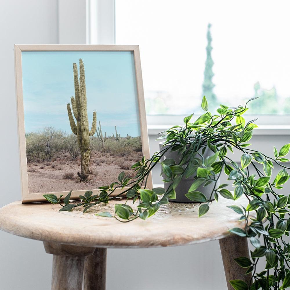 Saguaro Cactus, Desert Wall Art Decor - 8x10 Travel Poster for Bedroom, Living Room, Office, Bathroom - Gift for California, Arizona, Utah, New Mexico Nature Fan - UNFRAMED Picture Photo Photograph