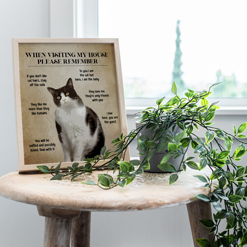 Cat Wall Art funny Sayings - Cat House Decor, Cat Stuff - Farmhouse Living room Cute Cat Decorations - Cat Themed Gifts for Women, Cat Lady - Cat Mom funny Quotes Wall Decor - small Apartment Cat Sign