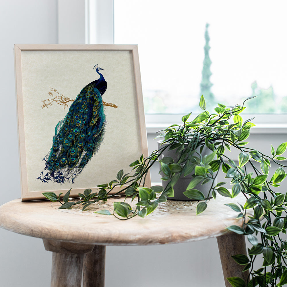 Peacock Wall Art Decor - Rustic Vintage Farmhouse Boho Decoration for Living Room, Bedroom, Bathroom, Home, Apartment - Gift for Women, Nature Fan - Famous Audubon Picture - 8x10 Poster Print