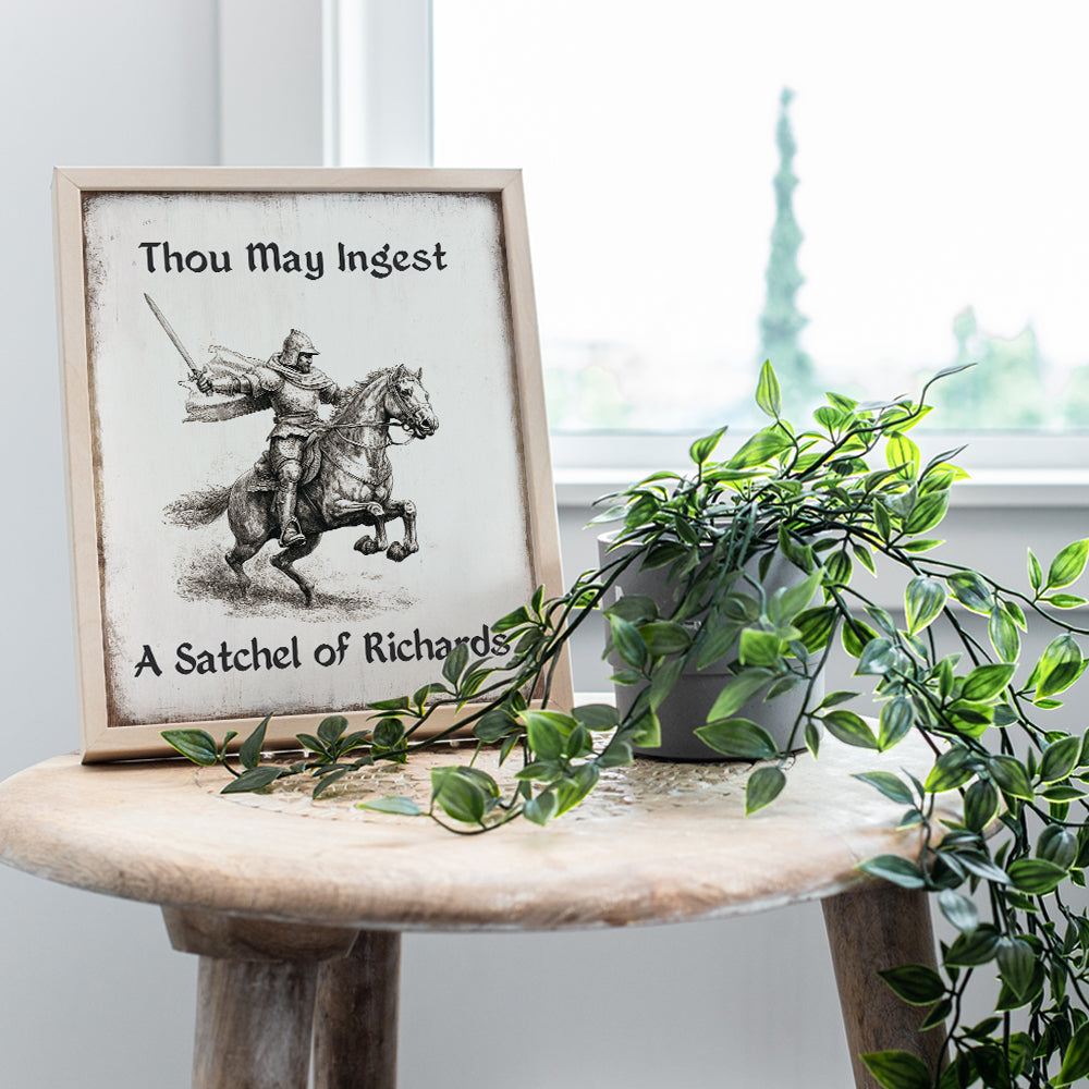 Funny Wall Decor Medieval Art - Sarcastic Funny Gifts - Knight Home Decor - Funny Sayings - Office Wall Decor - Dorm Room Decor - Vintage Art - Teen Boys Room Decor for Men - Man cave Sign - Gag Gifts