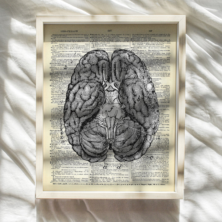 Upcycled Dictionary Wall Art Print - 8x10 Vintage Unframed Photo - Cool Home Decor and Easy Gift Giving for Doctors and Nurses - Anatomy Brain