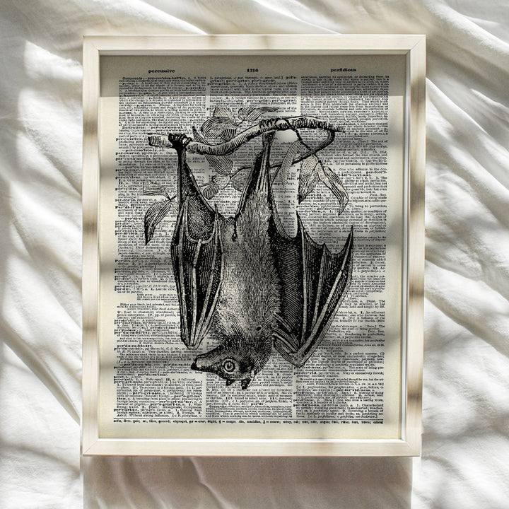 Gothic Bat Dictionary Wall Art Decor Picture - 8x10 Upcycled Poster for Apartment, Living Room, Home Office, Bedroom - Gift for Steampunk or Goth Fans - Vintage Retro Photo Print