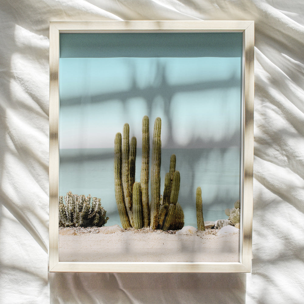 Saguaro Cactus, Ocean, Beach, Desert Wall Art Decor - 8x10 Poster for Bedroom, Living Room, Office, Bathroom - Gift for Ocean, Sea, Nature Fans - UNFRAMED Picture Photo Photograph