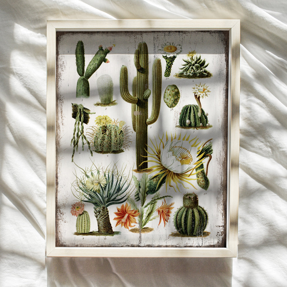 Cactus Wall Art - Desert Decor - Vintage Rustic Sonoran Wall Art for Bedroom, Living Room, Office, Bathroom - Unique Gift, Decorations - Haeckel Botanical Saguaro Cactus Blossom - 8x10