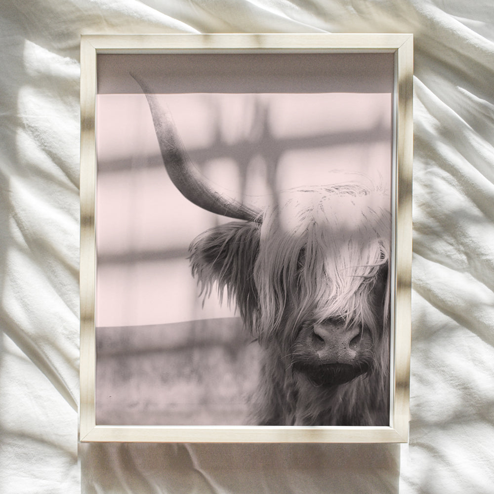 Highland Cow Decorations - Boho Farmhouse Cow Gift for Women - Cow Wall Decor for Bedroom, Living Room, Home, Kitchen, Bathroom, Apartment, Office - Cute Scottish Cow Wall Art - Pink Photo Picture